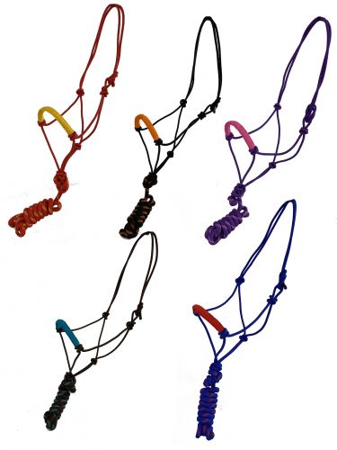 Halter - Cowboy Knot Halter with Braided Noseband