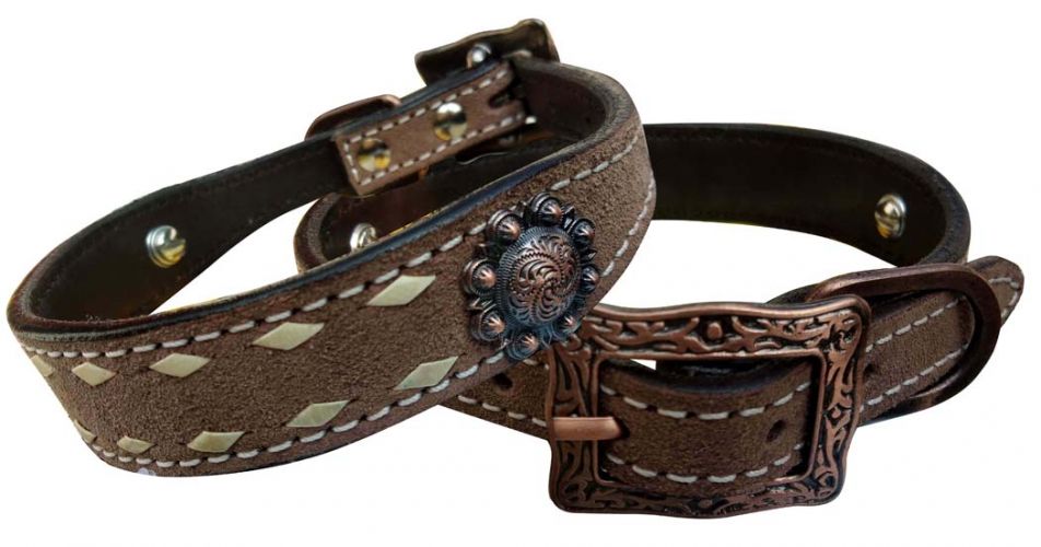 Dog Collars