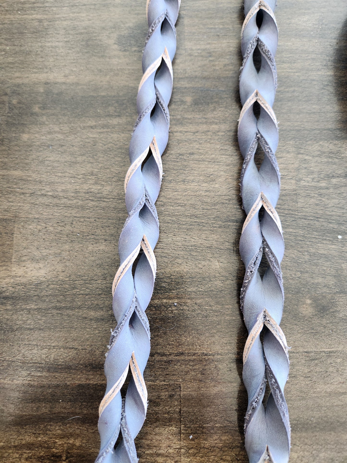 Reins - Contest  Blood Reins