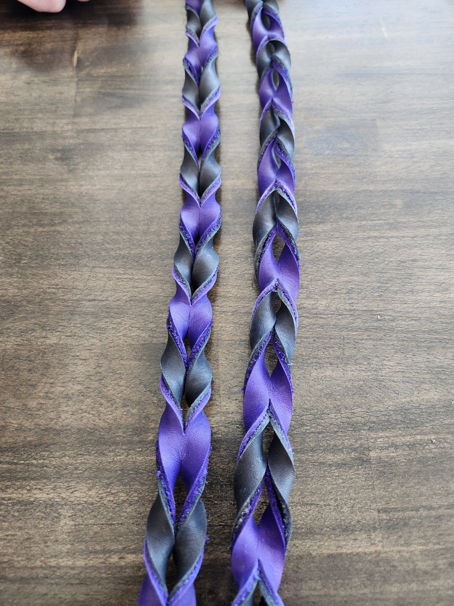 Reins - Contest  Blood Reins