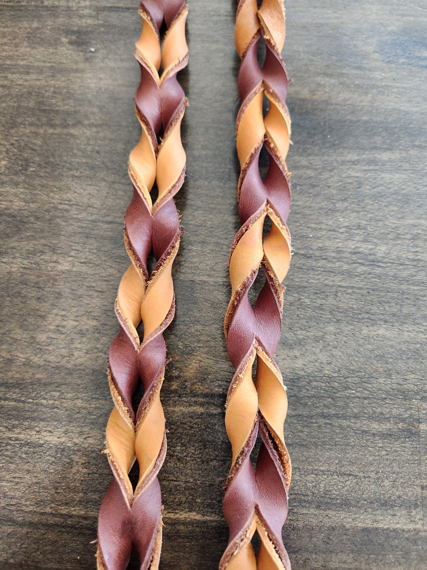 Reins - Contest  Blood Reins