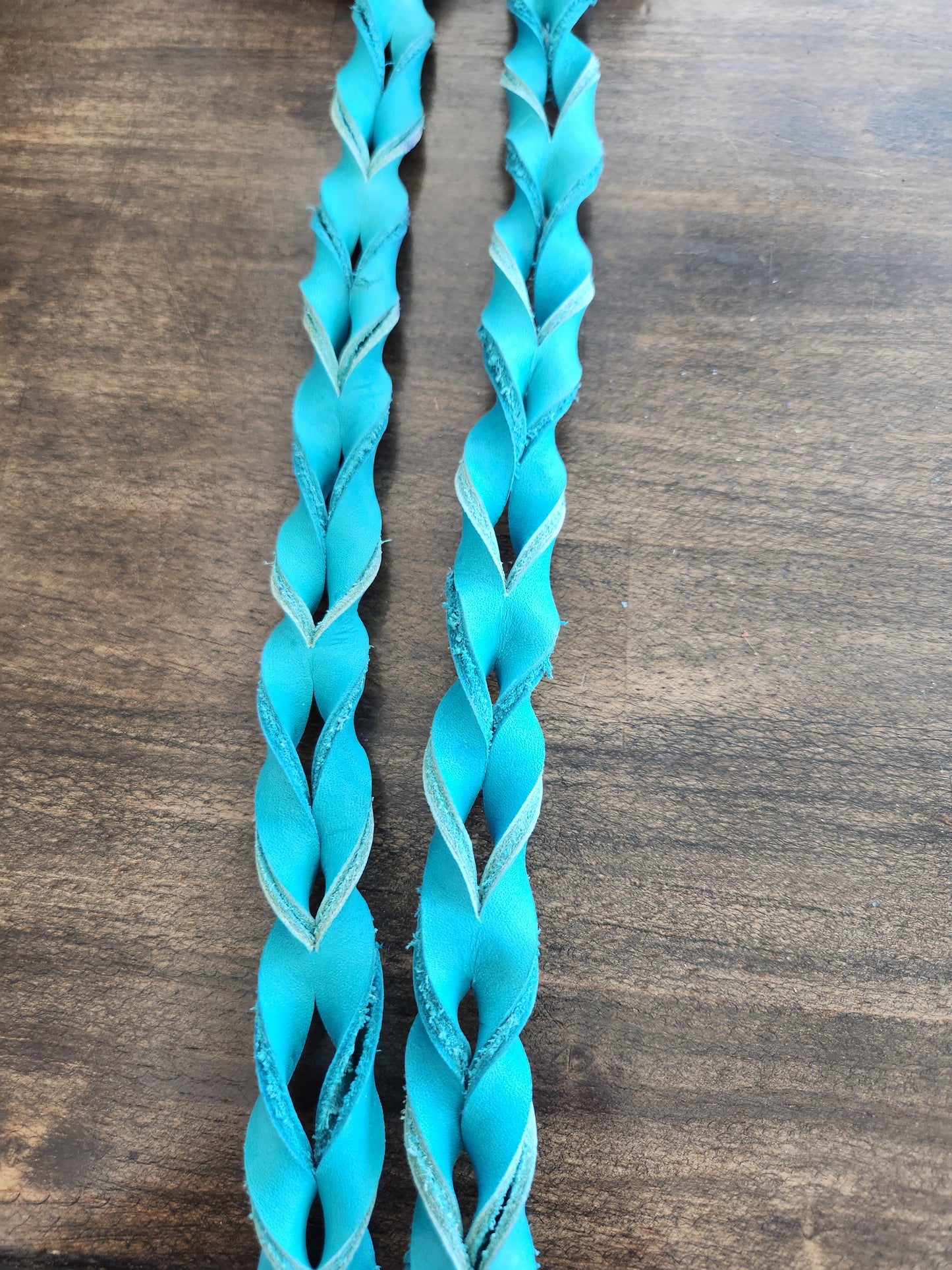 Reins - Contest  Blood Reins