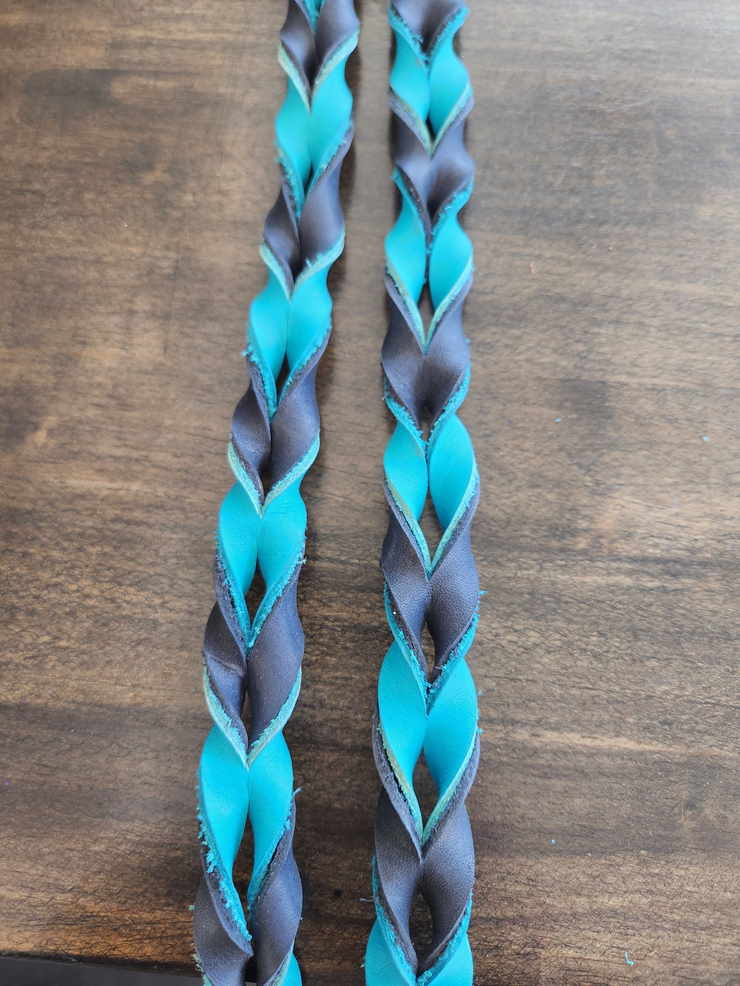 Reins - Contest  Blood Reins
