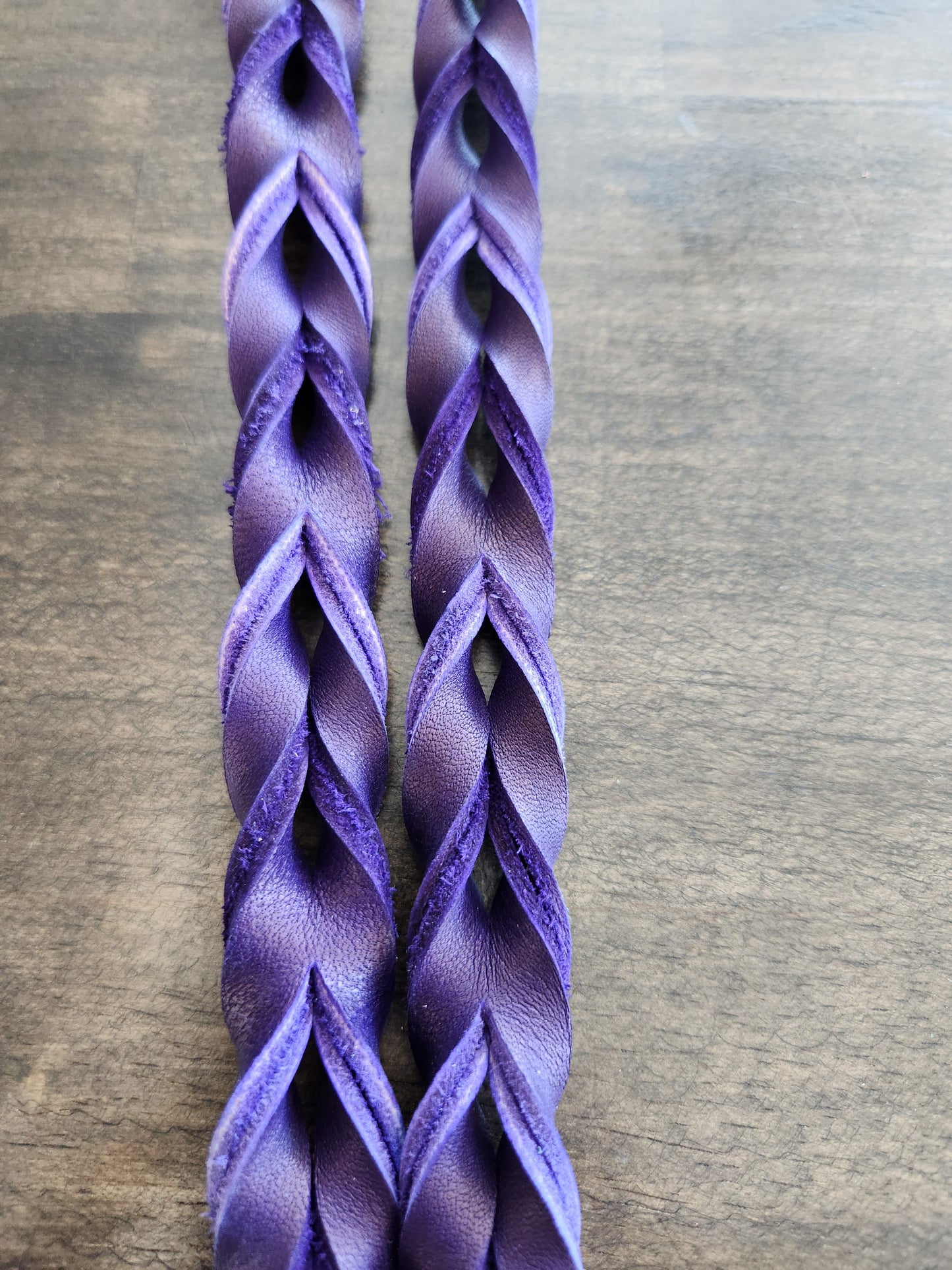 Reins - Contest  Blood Reins