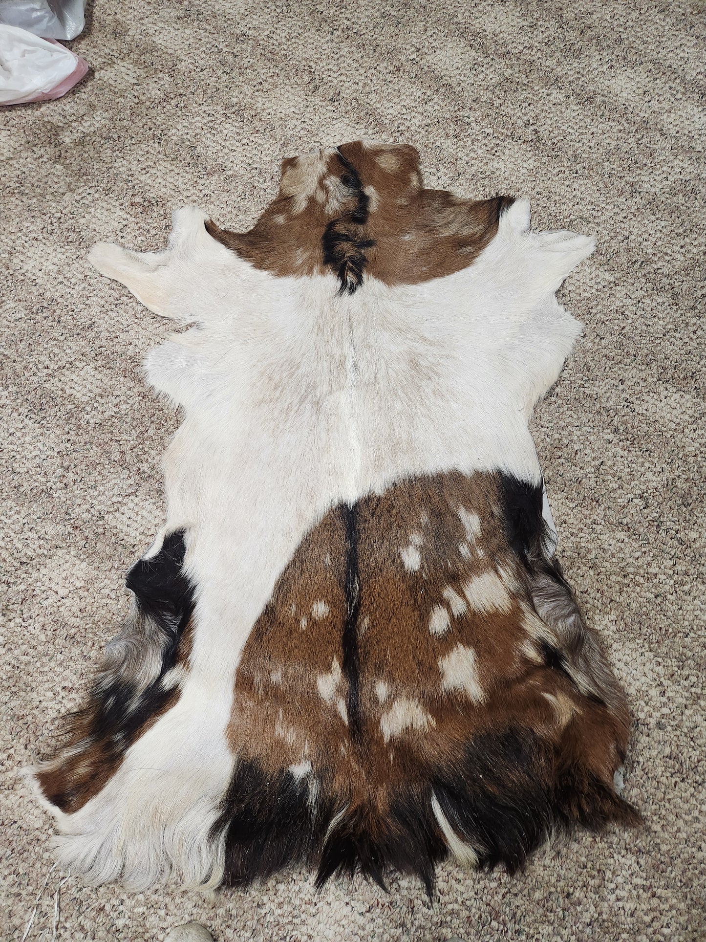 Goat Hide
