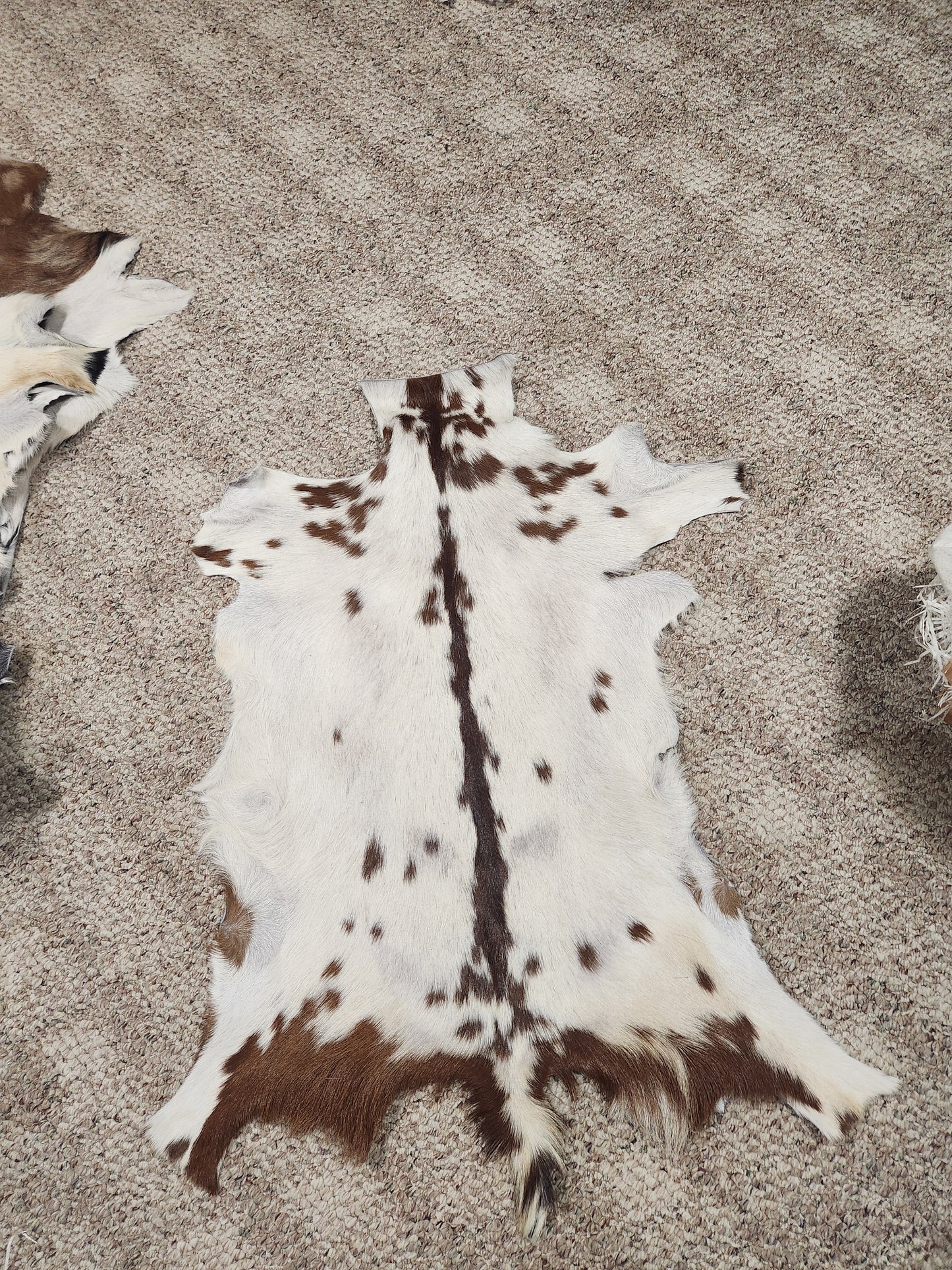 Goat Hide