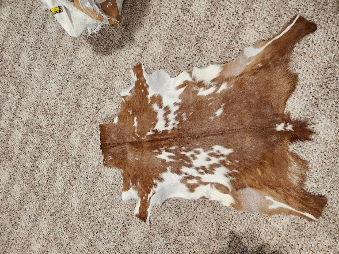Goat Hide