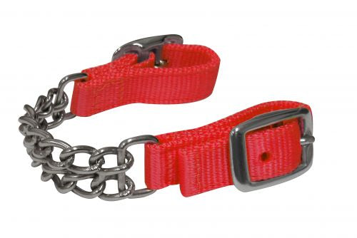 Curb Strap - Assorted