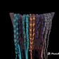 Reins - Contest  Blood Reins