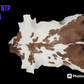 Goat Hide