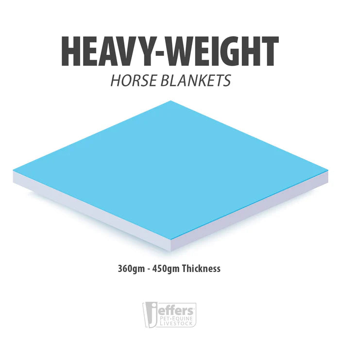 Econ Plus Combo Neck Heavy Turnout Blanket