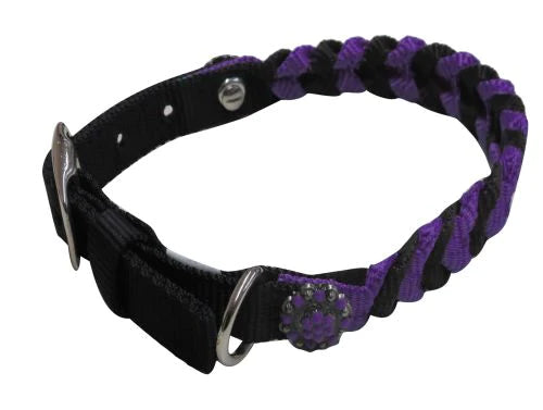 Dog Collars