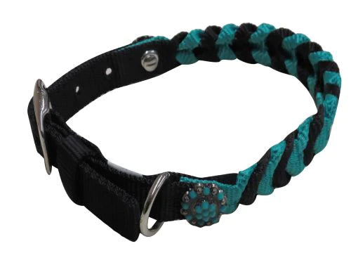 Dog Collars