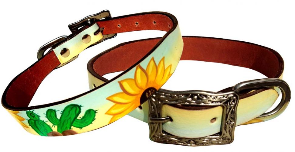 Dog Collars