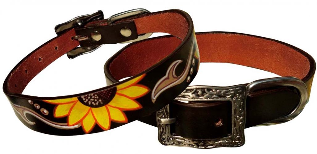 Dog Collars