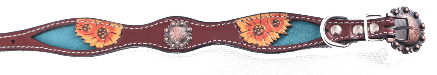 Dog Collars