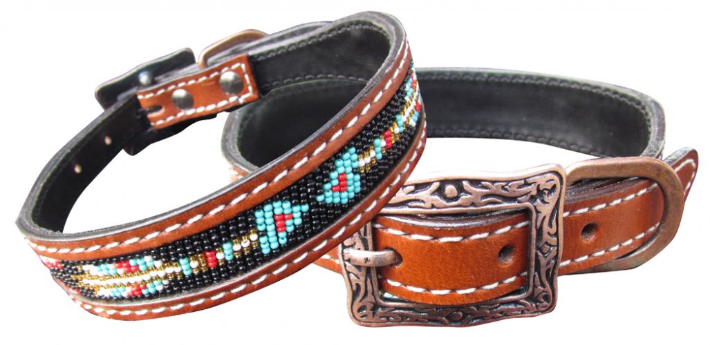 Dog Collars