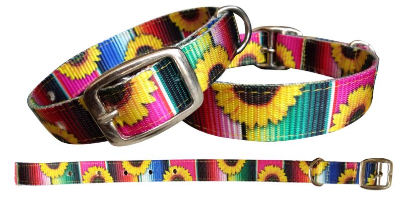 Dog Collars