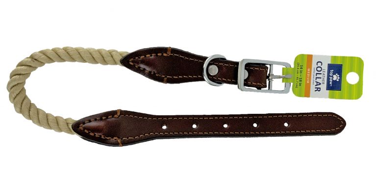 Dog Collars