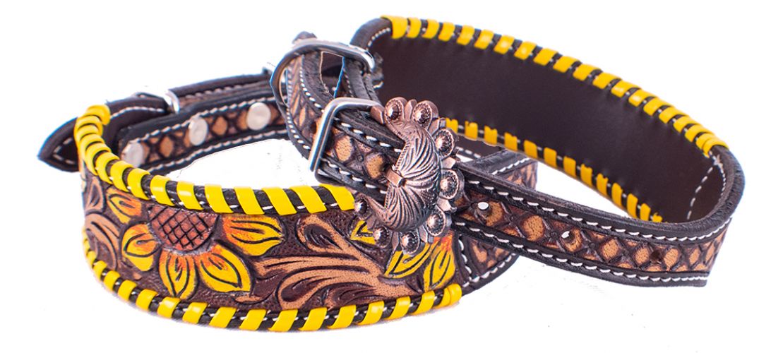 Dog Collars