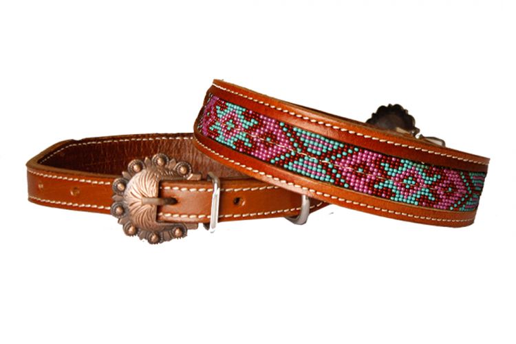 Dog Collars