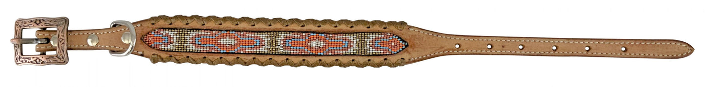 Dog Collars
