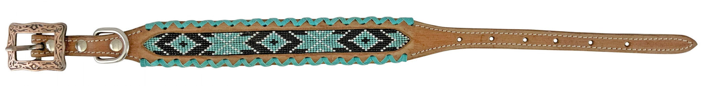 Dog Collars