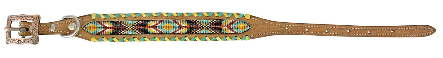 Dog Collars