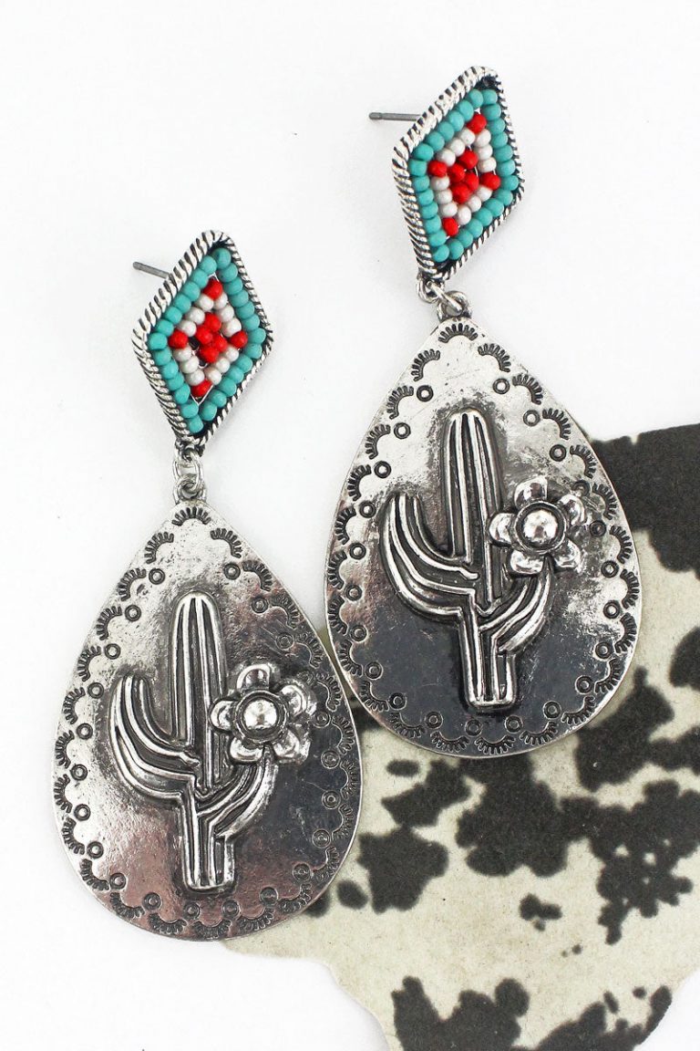 Turquoise Multi Silvertone Cactus Creek Earrings