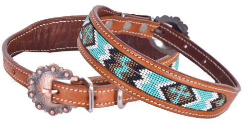 Dog Collars